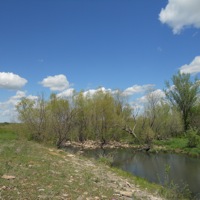 Anderson County Prairie Preserve