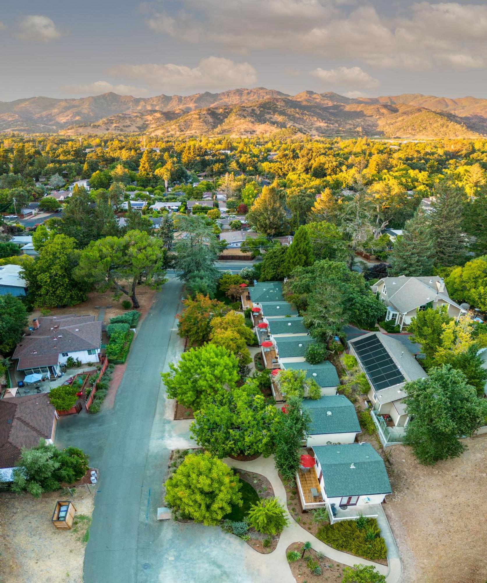 Where to Stay Near Petrified Forest: 5 Central Calistoga Hotels