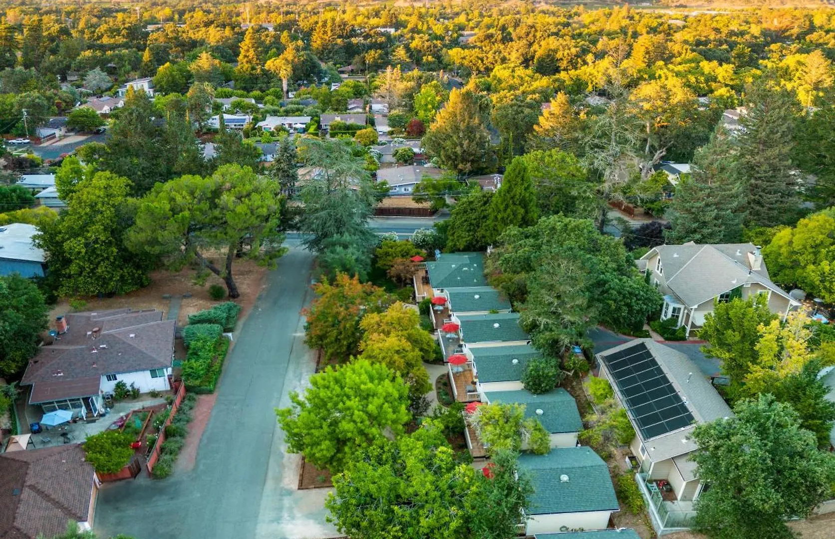 Where to Stay Near Petrified Forest: 5 Central Calistoga Hotels