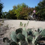 Prairie Spirit Trail Cactus